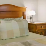 Vollmer Appartement Nordrach