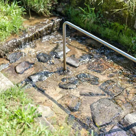 Vollmer Apartmán Nordrach