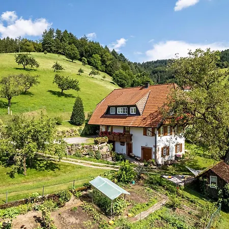 Vollmer Apartment Nordrach